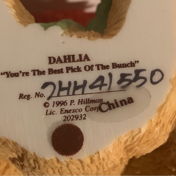 Dahlia cherished teddy - Picture 5 of 8